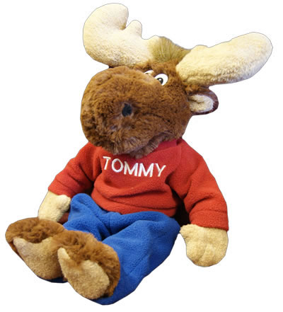 tommy moose stuffed animal